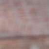 Immagine news 4