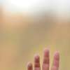 Immagine news 3