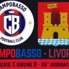 La presentazione. Campobasso-Livorno, amaranto nella tana dei Lupi