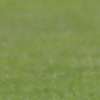 Immagine news 11