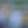 Immagine news 1