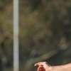 Immagine news 24