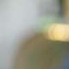 Immagine news 3