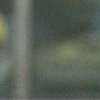 Immagine news 29