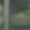 Immagine news 20