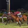 Ippica. Coppa del Mare la vittoria e Strong. L'Alma Racing fa doppietta!