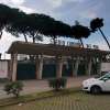 Immagine news 47