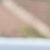 Immagine news 52