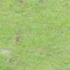 Immagine news 9