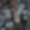 Immagine news 14
