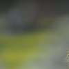 Immagine news 5