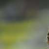 Immagine news 20