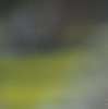 Immagine news 63