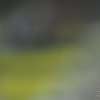 Immagine news 6