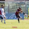 Diretta web. Pineto-Livorno 3 a 0 (finale)