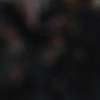 Immagine news 6