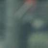 Immagine news 5