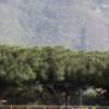 Immagine news 7