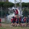 Serie B. I Lions lottano ma cedono al San Benedetto, 50 a 26