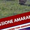 Passione Amaranto, oltre 17 mila spettatori per la prima puntata