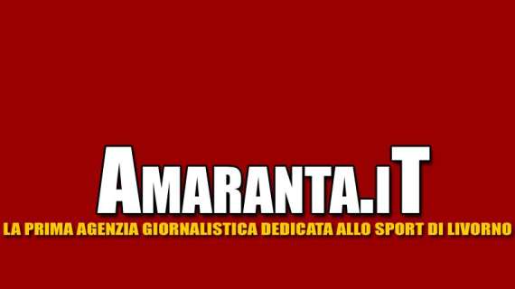 Il logo di Amaranta 