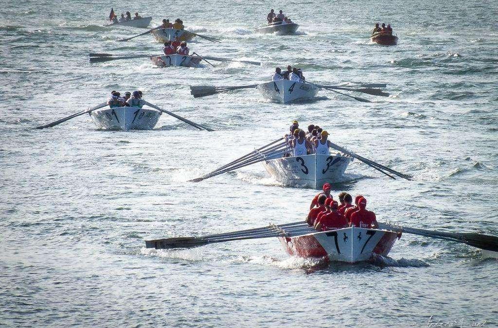 Remo. La coppa Risi'atori va al Venezia davanti a Borgo