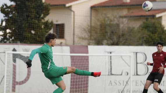 Samuele Lemmi