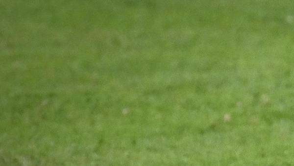 Berretti. Il Livorno supera il Tuttocuoio ed annusa la vetta, 3 a 2