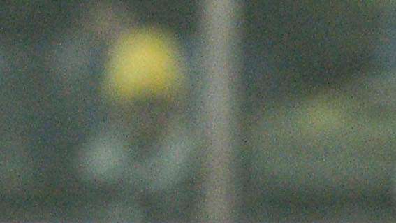 Duncan piace a Sampdoria, Chievo e Parma