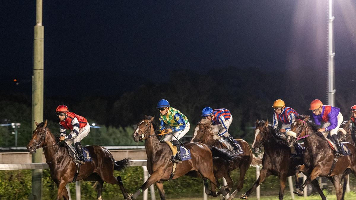 Ippica. La stagione di corse è salva con il binomio Comune ed Alfea