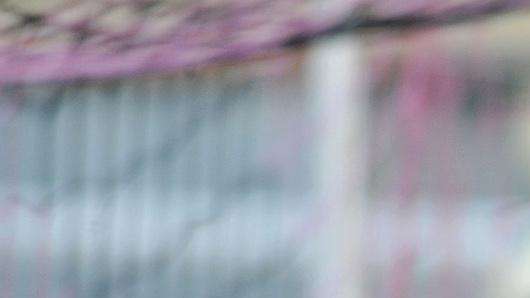 Inter pronta a riscattare Bardi ed a lasciarlo a Livorno