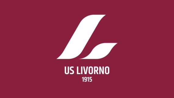 Il logo contestato