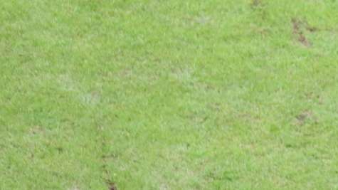 Livorno-Salernitana, le pagelle degli Amaranto
