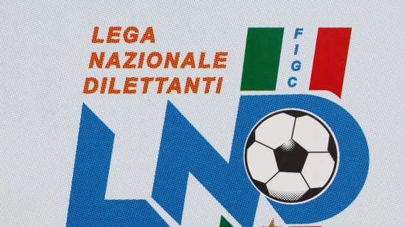 Dilettanti, il 22 maggio le proposte alla Figc per il post lockdown