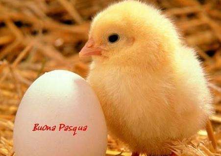 Buona Pasqua ai lettori e agli amici di Amaranta.it
