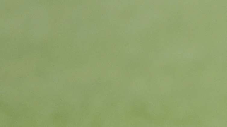 Promozione. Trasferta difficile per il Venturina, turno interno per il Picchi