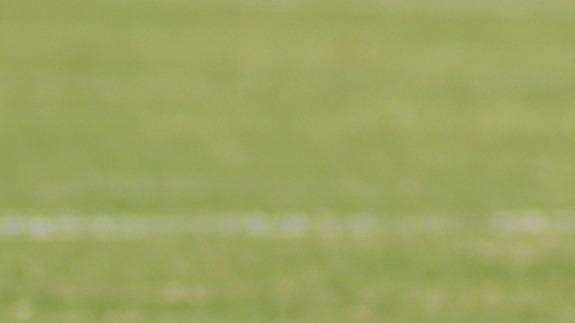 Primavera. Per il Livorno pareggio interno con la Sampdoria, 0 a 0
