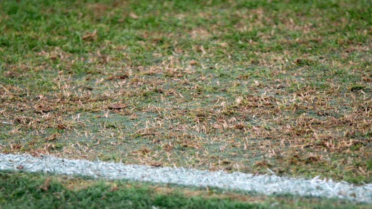 Juniores. Il Livorno espugna San Donato e rimane a punteggio pieno, 0 a 1