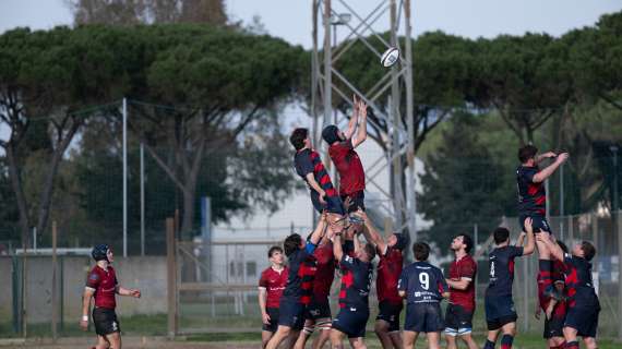 I Lions in una foto d&#039;archivio