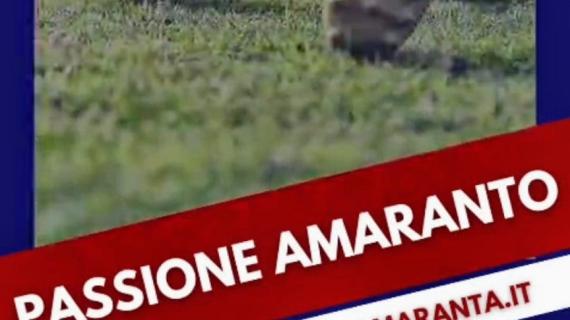 La trasmissione