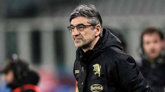 Torino, Juric: "Ora aspettiamo la Fiorentina per l'Europa. Futuro? Vedremo"