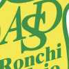 PROMOZIONE - Retrocedono Unione Smt, Ronchi e Azzurra Gorizia