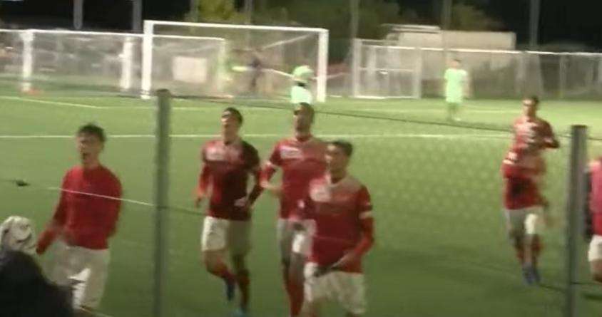  A TUTTO CAMPO FVG - LE SINTESI