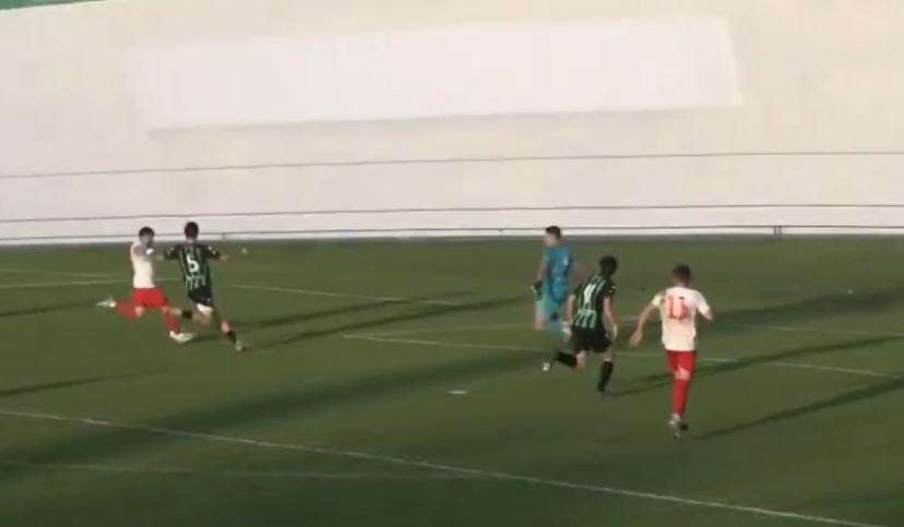 A TUTTO CAMPO FVG - LE SINTESI