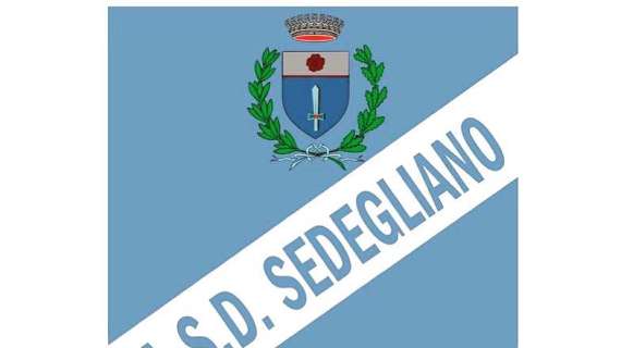 DILETTANTI - Quattro squadre salgono di categoria in seguito a fusioni