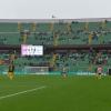 Palermo-Modena 1-1: grande punto dei canarini al Barbera