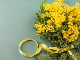 Buon 8 marzo canarine 