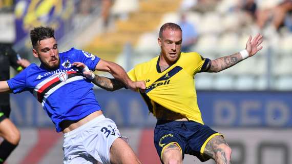 Modena-Sampdoria 1-3: i canarini cadono nella ripresa