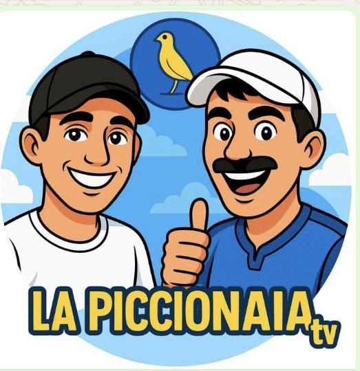 Un altro episodio della Piccionaia TV