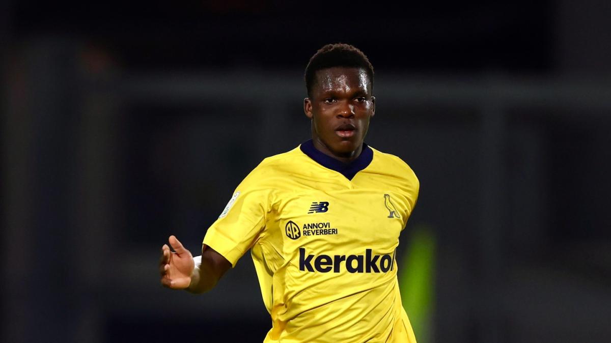 Come va gestito Wiafe? 